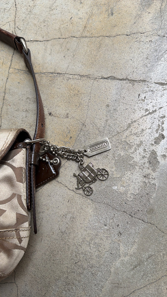 COACH hobo bag