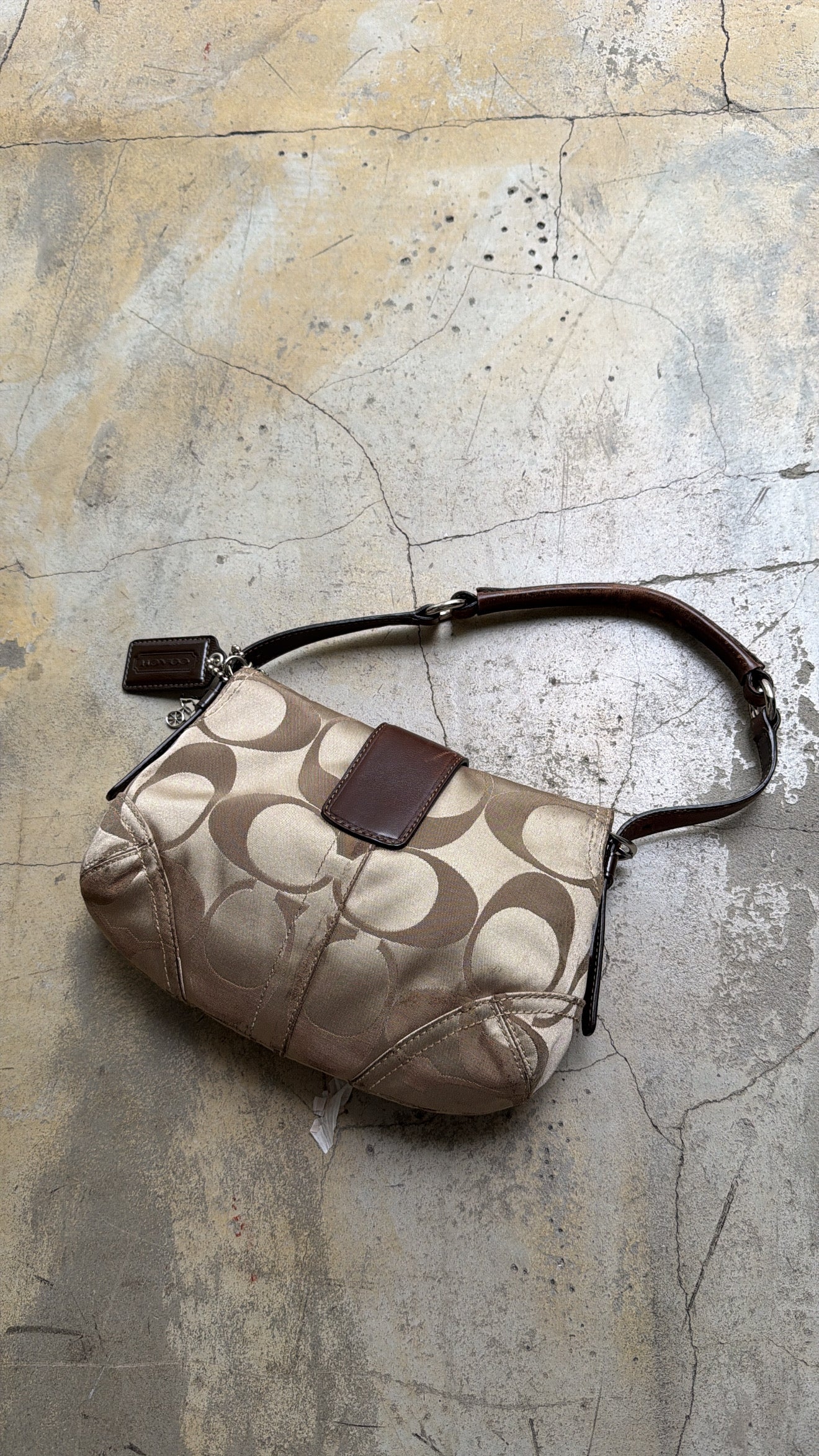 COACH hobo bag
