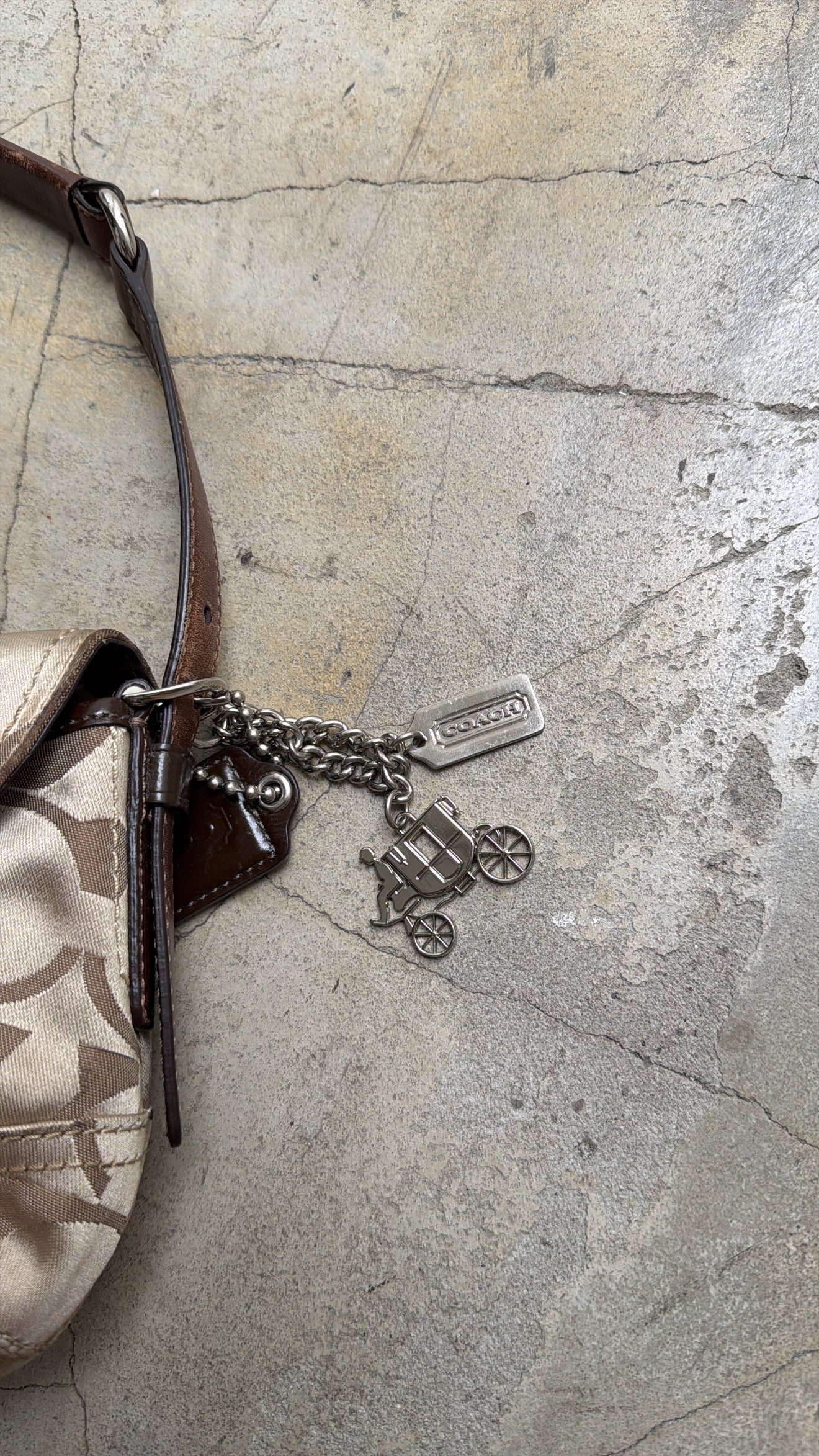 COACH hobo bag