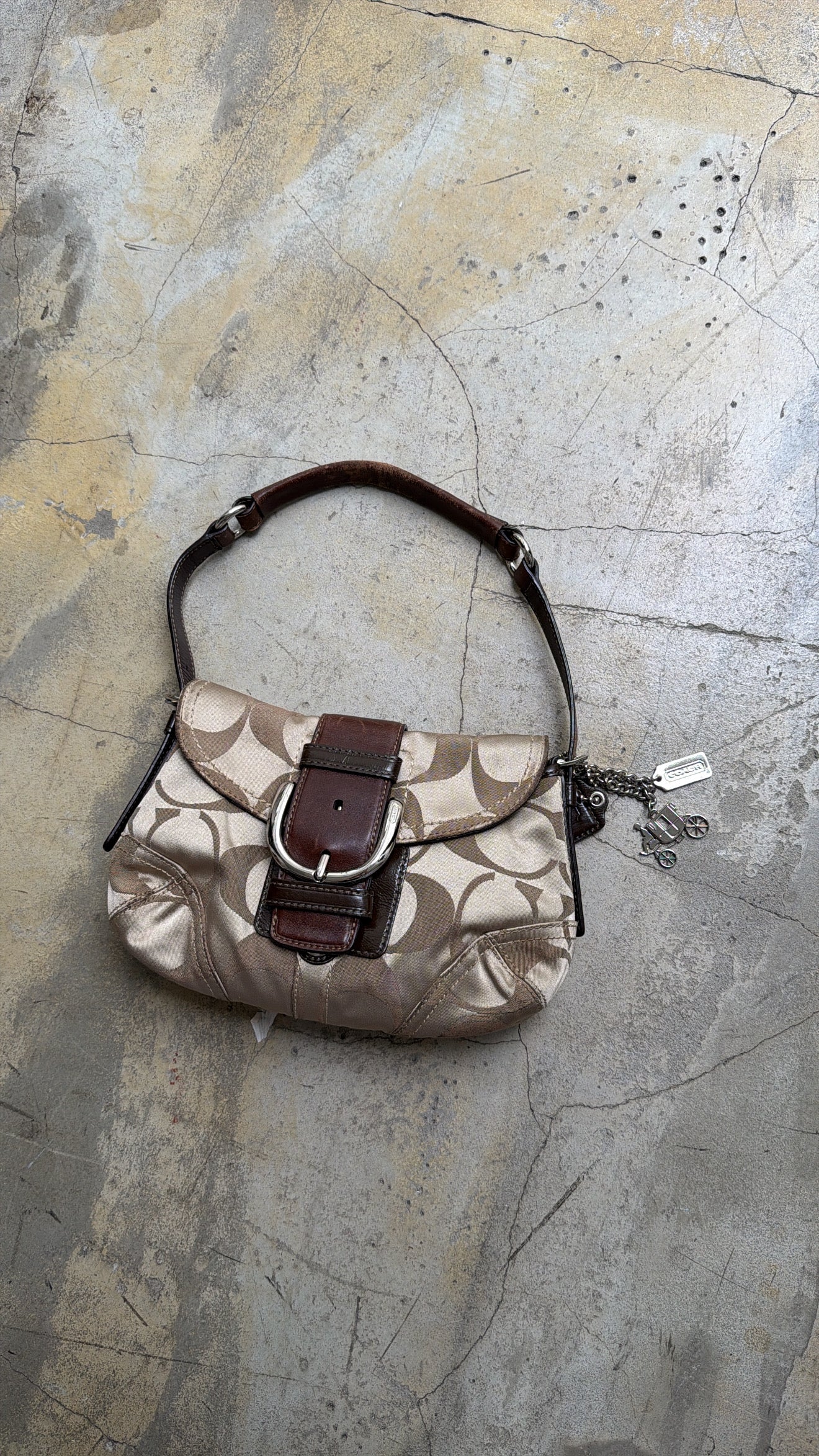 COACH hobo bag