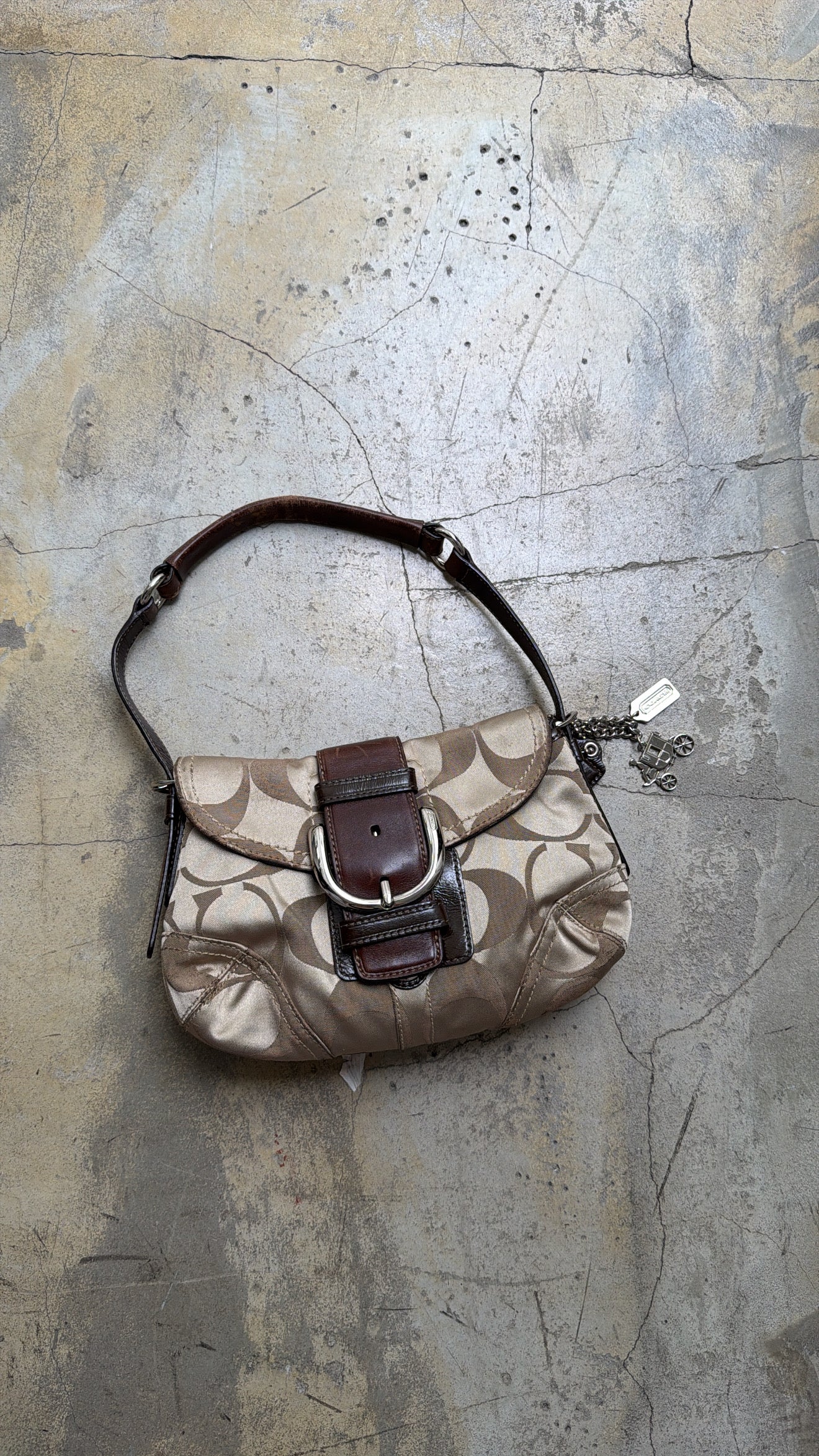 COACH hobo bag